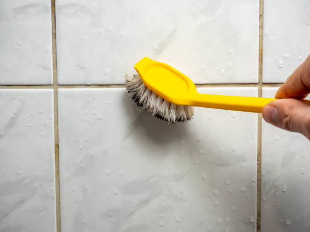 Best Localized Mold Remediation (e.g., coastal areas, humid climates) in Great Falls, VA
