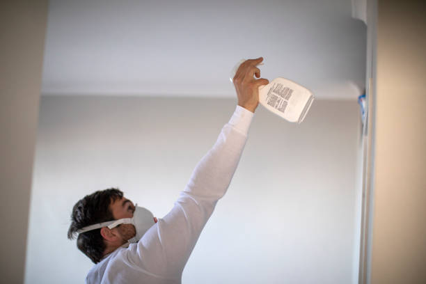 Best Residential Mold Remediation in Great Falls, VA