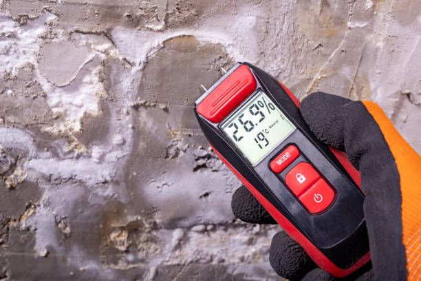 Reliable Great Falls, VA Mold Remediation Solutions
