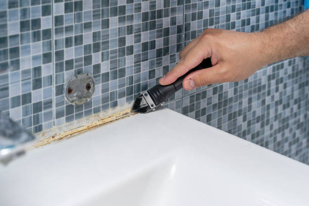 Best Preventive Mold Services in Great Falls, VA